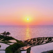 Khám phá Wajima, thành phố biển bình yên với văn hóa độc đáo